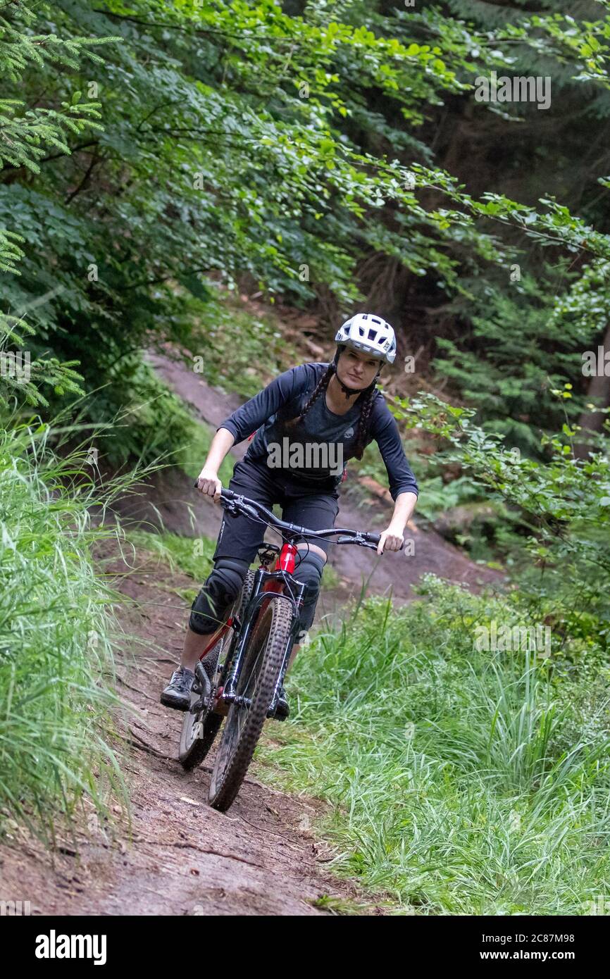 Nuremberg reichswald hires stock photography and images Alamy