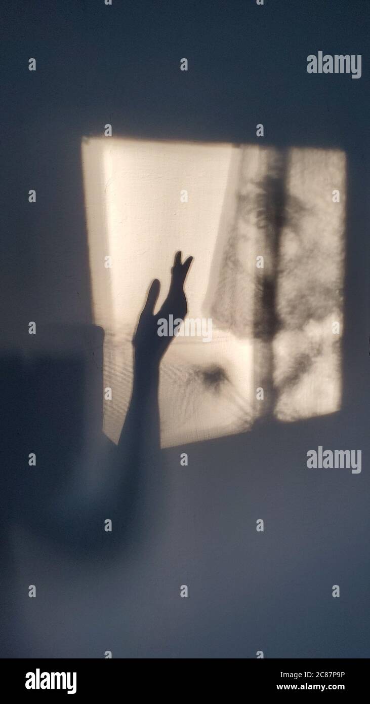 Blurry elegant female hand silhouette of shadows on wall. Subtle sepia toned composition created by sunlight and shadows in shapes of defocus woman's Stock Photo