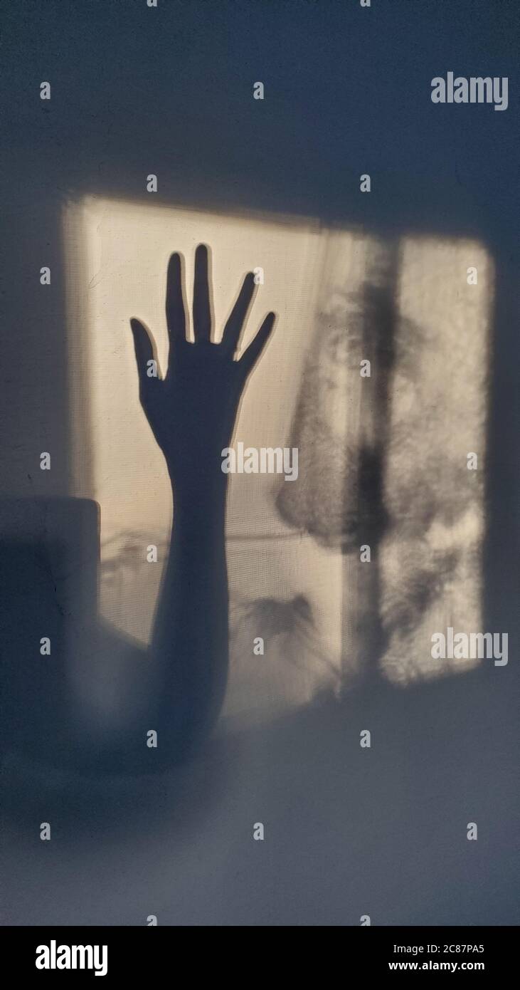 Defocus female hand silhouette of shadows on wall looks like cinematic frame from scary movie. Sunlight and weird shadows in shapes of blur woman's ha Stock Photo