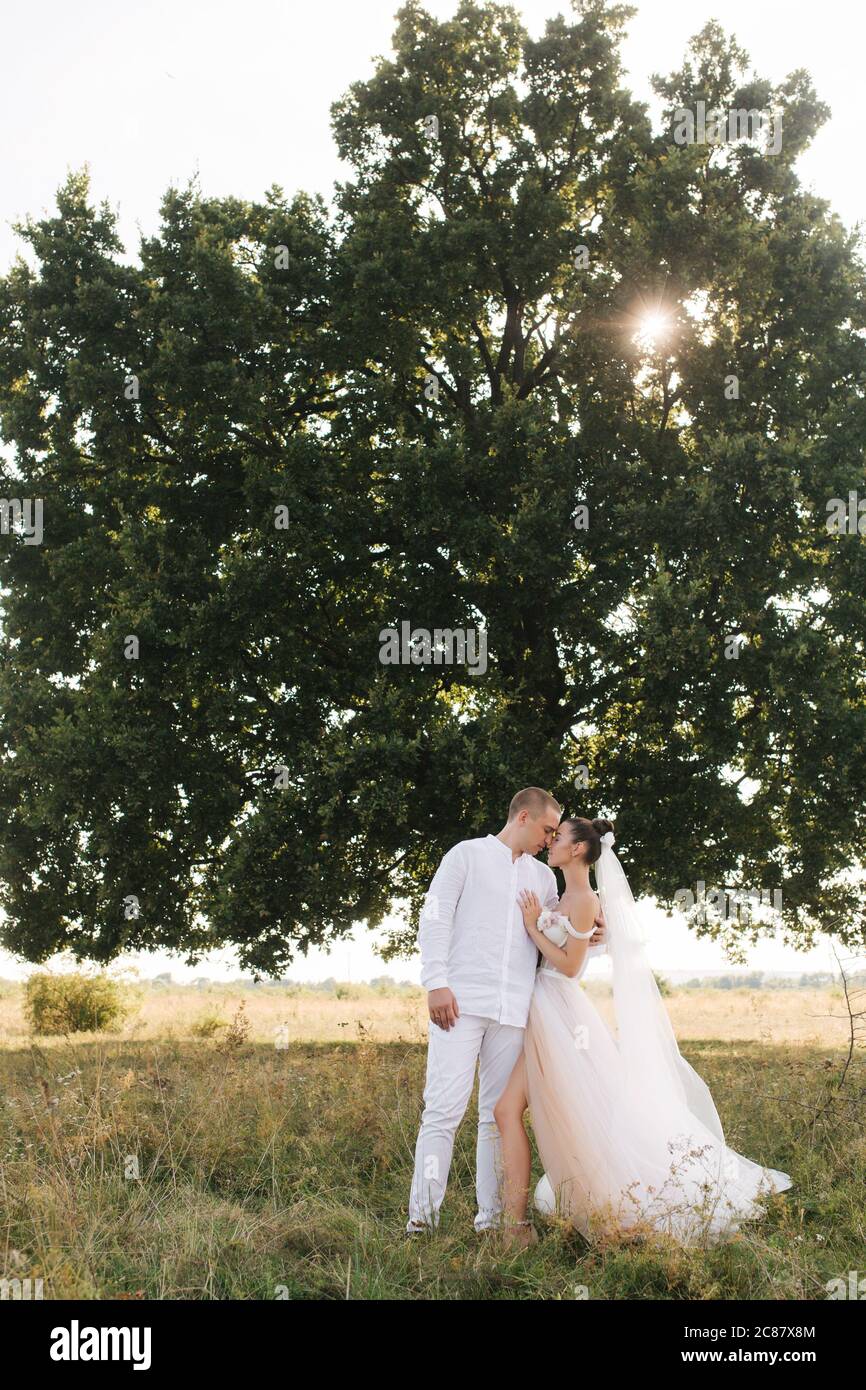 Bride and groom of the background of big tree in the field kiss each ...