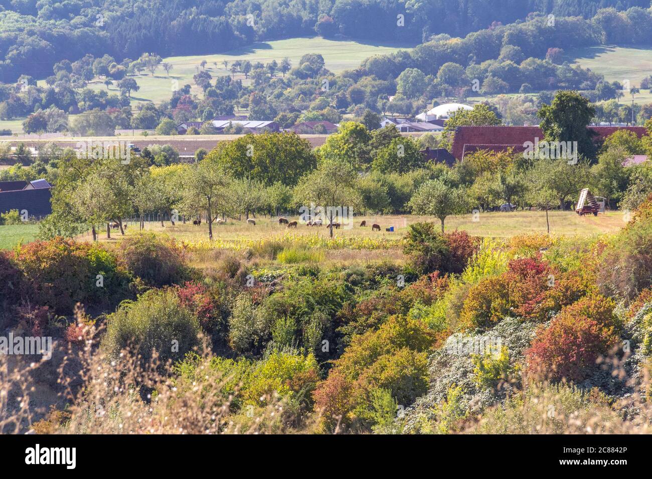 rural scenery in southern Germany at autumn time Stock Photo