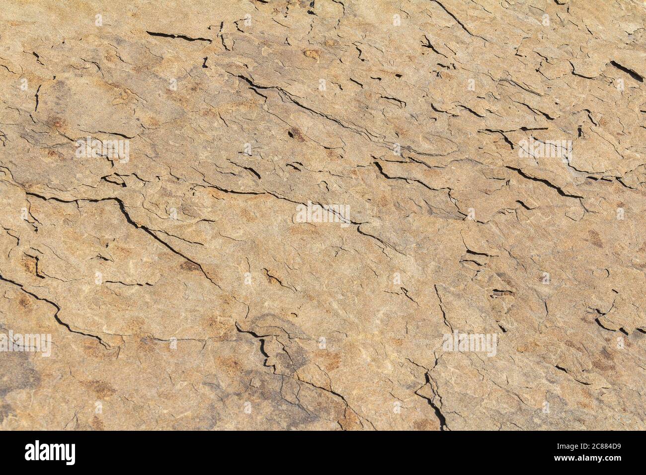 sunny illuminated full frame abstract stone surface Stock Photo