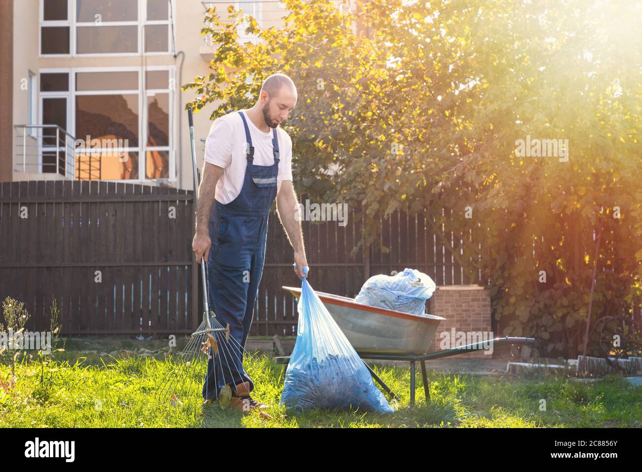 https://c8.alamy.com/comp/2C8856Y/the-gardener-collects-the-bags-of-leaves-and-puts-them-in-the-cart-the-sun-shines-brightly-on-the-right-side-2C8856Y.jpg