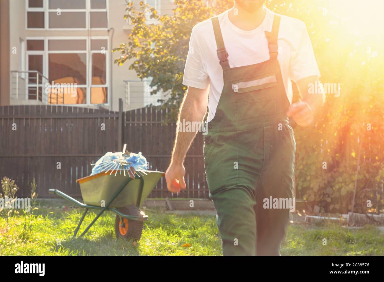 Close up carry tree hi-res stock photography and images - Alamy