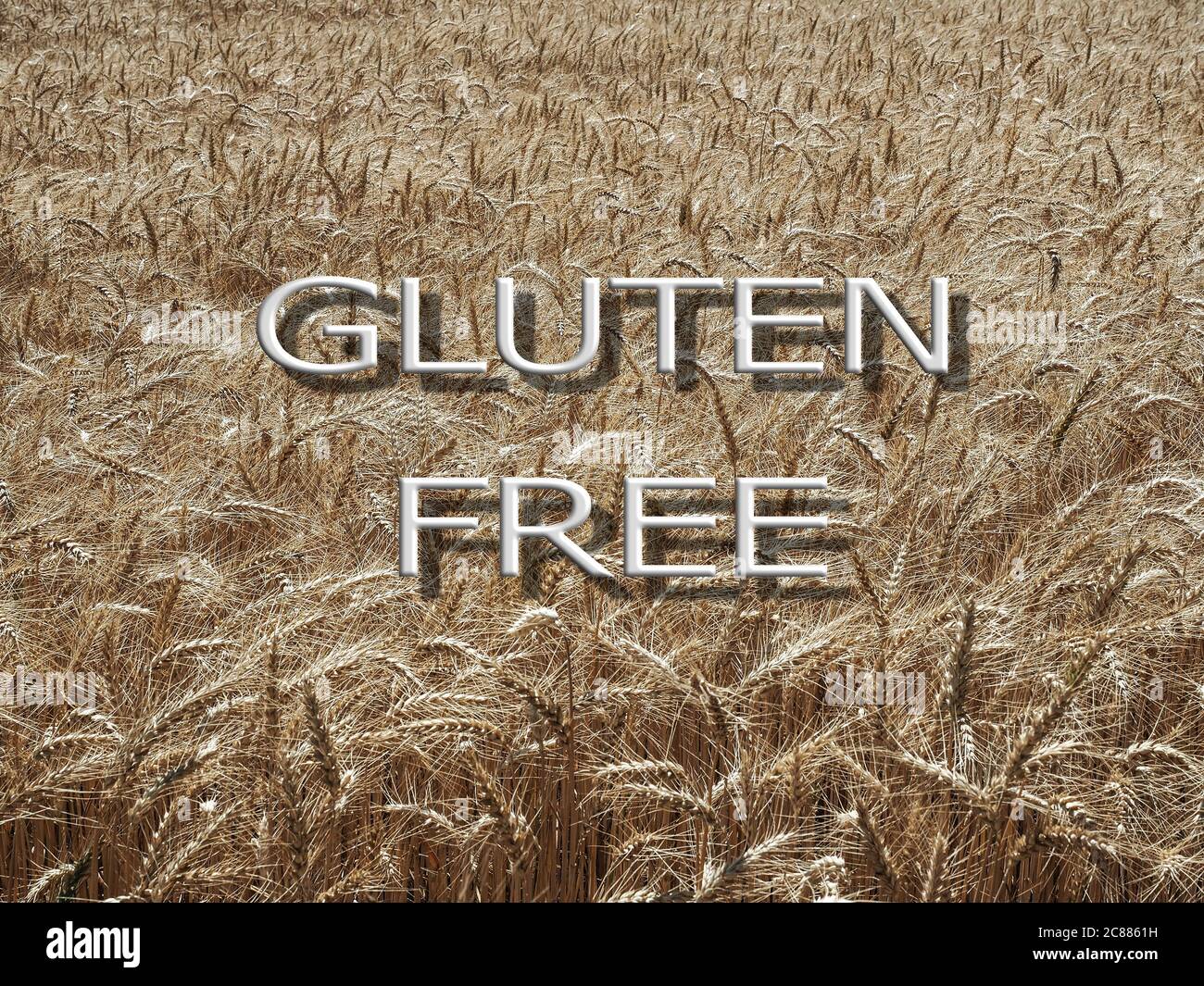 Gluten free diet concept. Text gluten free on wheat field background. Stock Photo