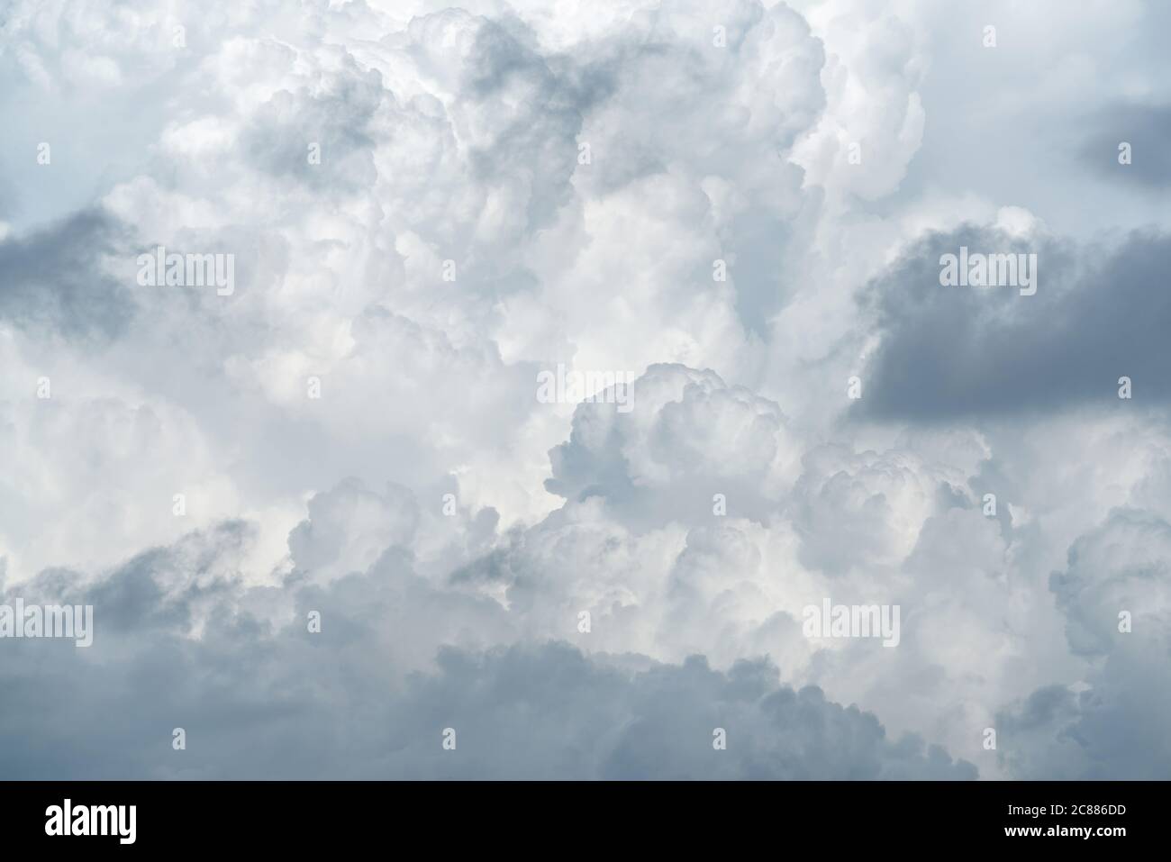 White fluffy clouds on cloudy sky. Soft touch feeling like cotton. White puffy cloudscape. Beauty in nature. Close-up white clouds texture background. Stock Photo