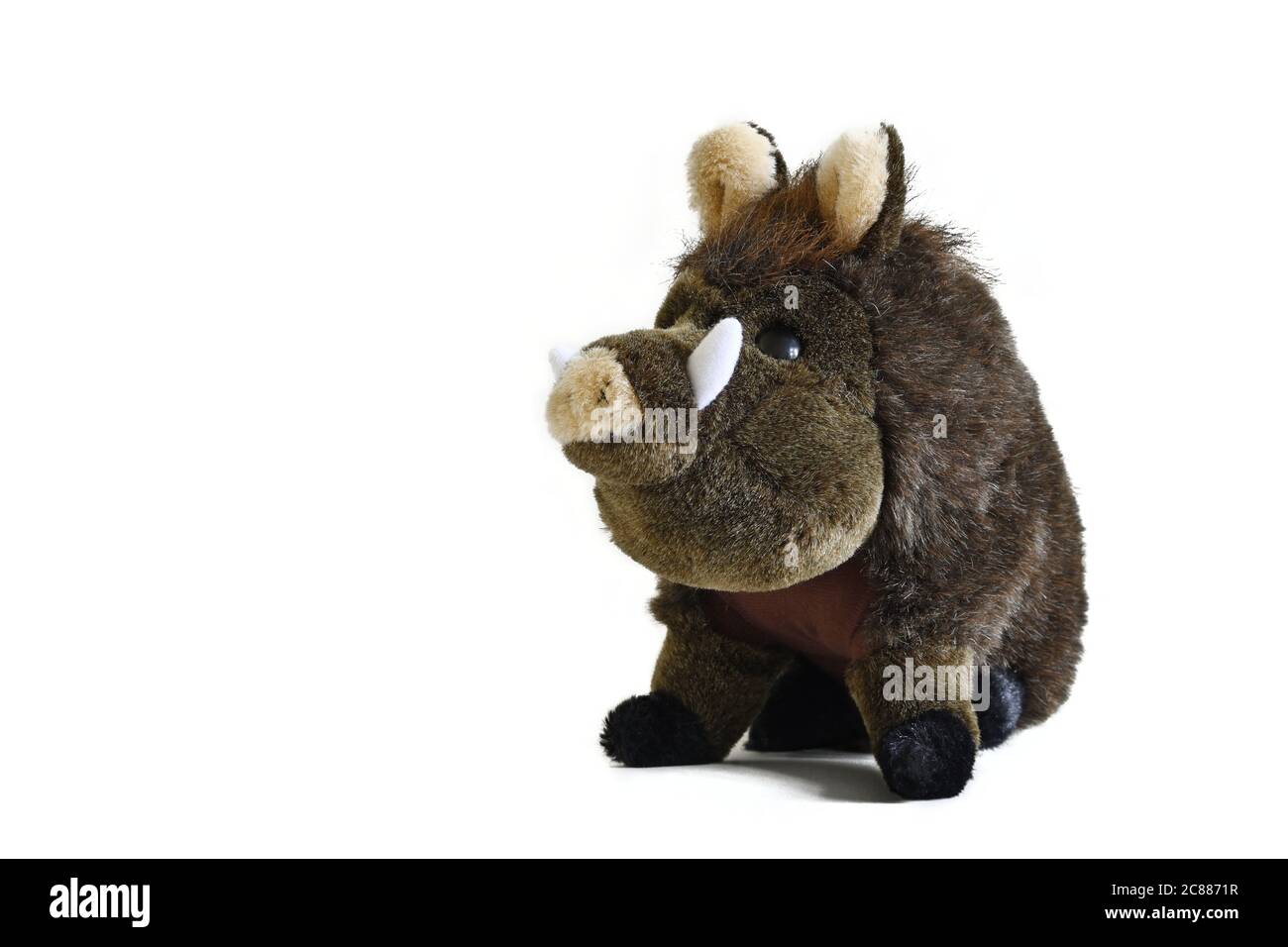 Wild boar soft toy, forest animal isolated on white background with copy space. Stock Photo