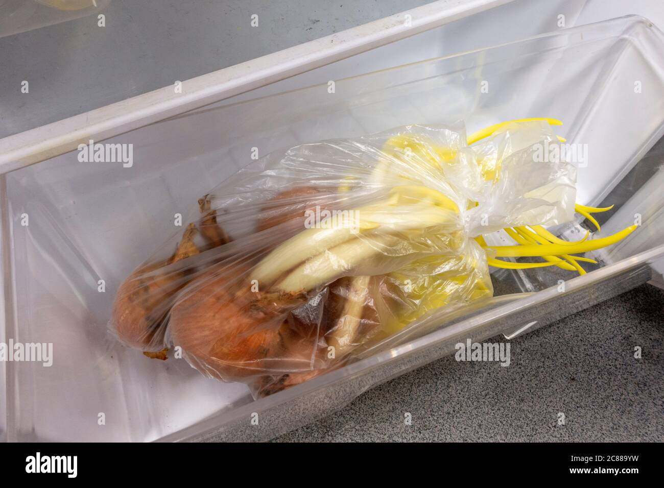 A bag of sprouted onions accidentally left in a work fridge for three months during the Covid-19 lockdown in 2020, Hounslow, UK. Stock Photo