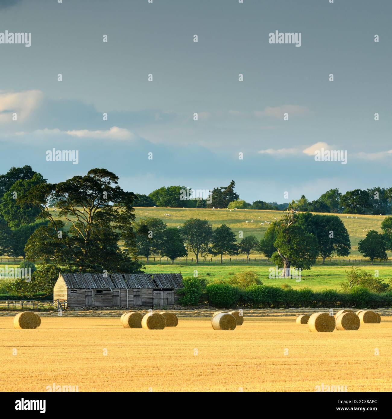 Scenic rural landscape (straw bales in farm field after wheat harvest, rustic wooden barn & sunlight on green fields) - North Yorkshire, England UK. Stock Photo