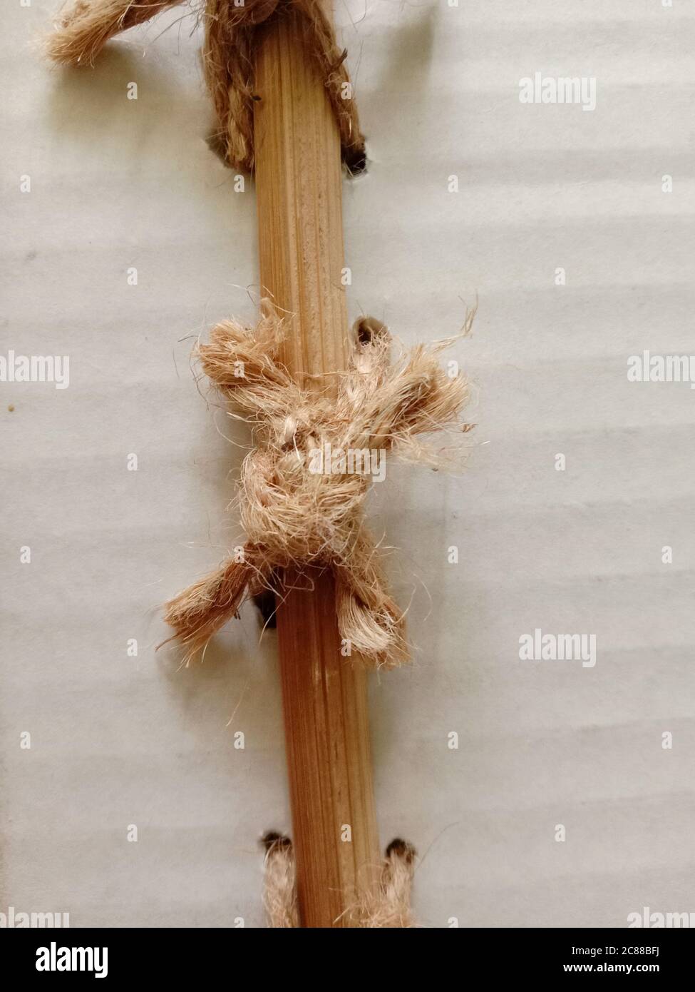 India and jute hi-res stock photography and images - Alamy