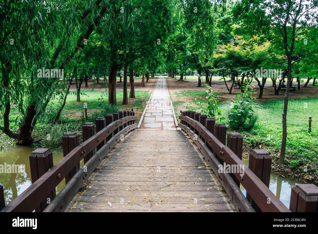 Wooden bridge with green trees at Seoul forest park in Korea Stock Photo