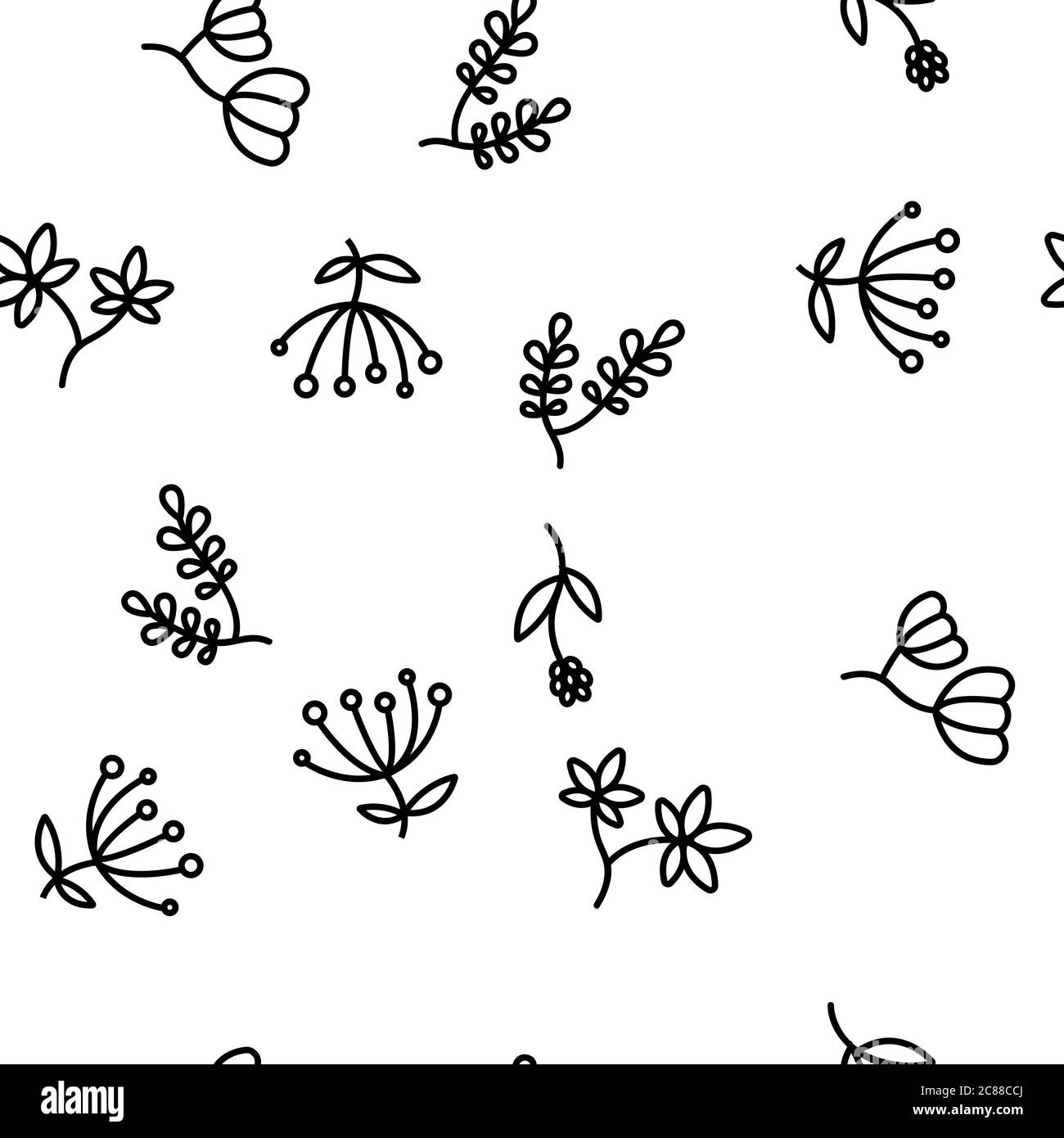 Wildflower Natural Vector Seamless Pattern Stock Vector Image & Art - Alamy