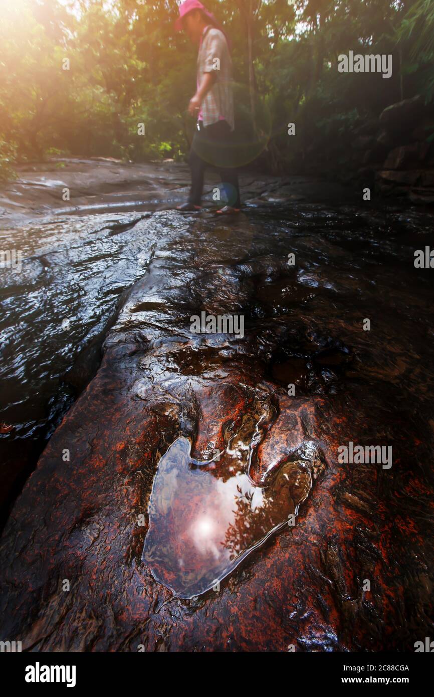 An Asian man walks past a fossilized footprints of theropod dinosaurs on the stream in ancient tropical forest, the sun reflection on the footprints. Stock Photo