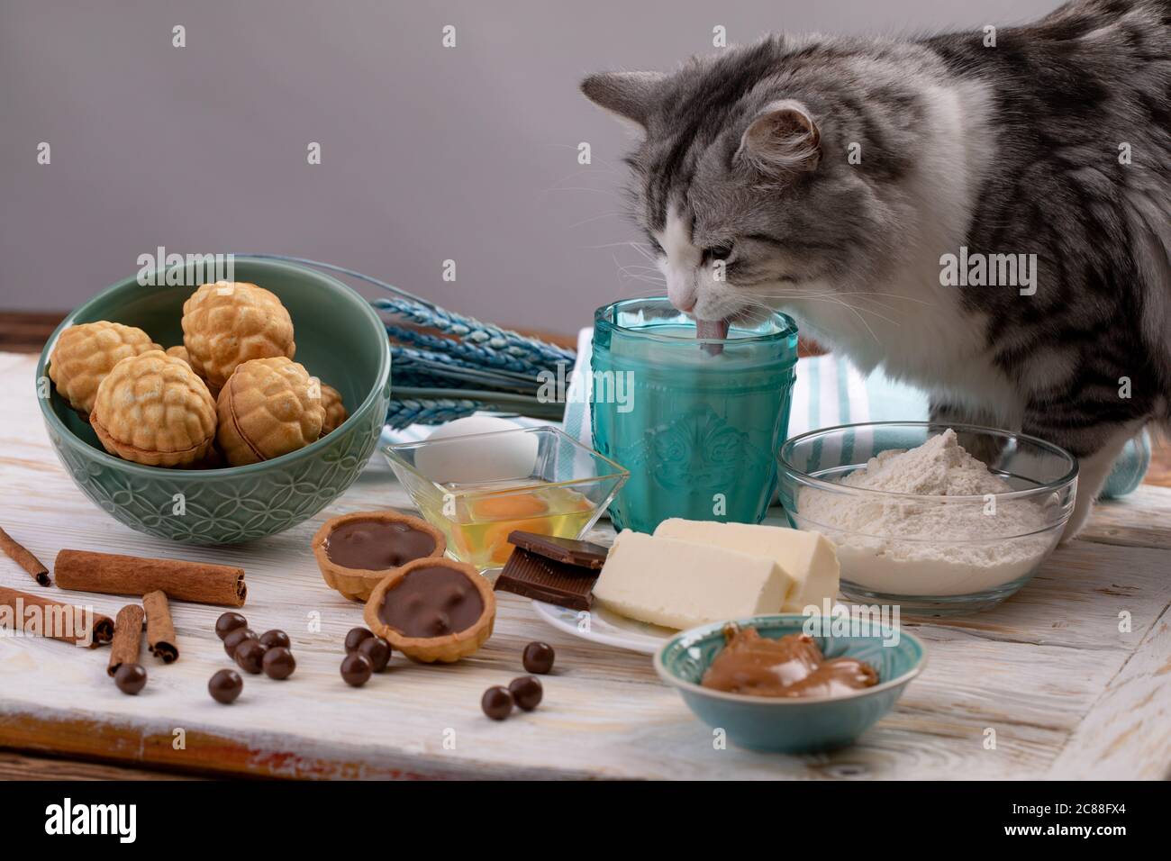 Кот пьет молоко за столом. Еда для кошек. Каша для кошек. Миска. Можно кошке овсянку.