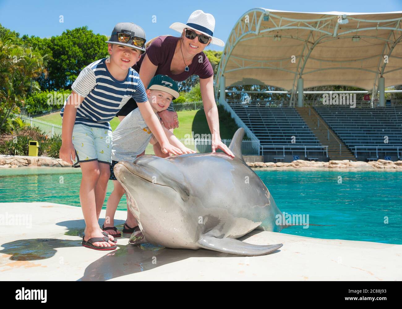 Dolphin being patted by a tourist family at the dolphin display pool at Sea World on the Gold Coast, Queensland Australia. Stock Photo