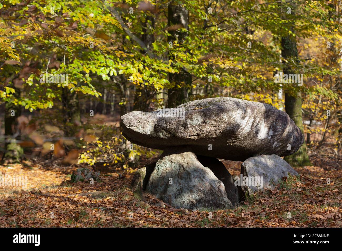 Dolmen de Roh Du, La Chapelle-Neuve Stock Photo
