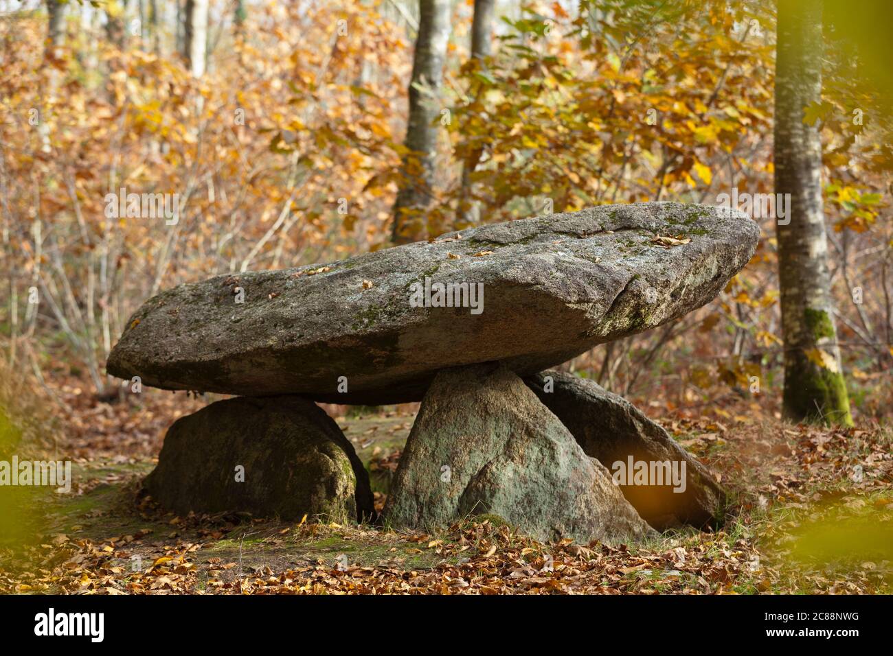 Dolmen de Roh Du, La ChapelleNeuve Stock Photo Alamy