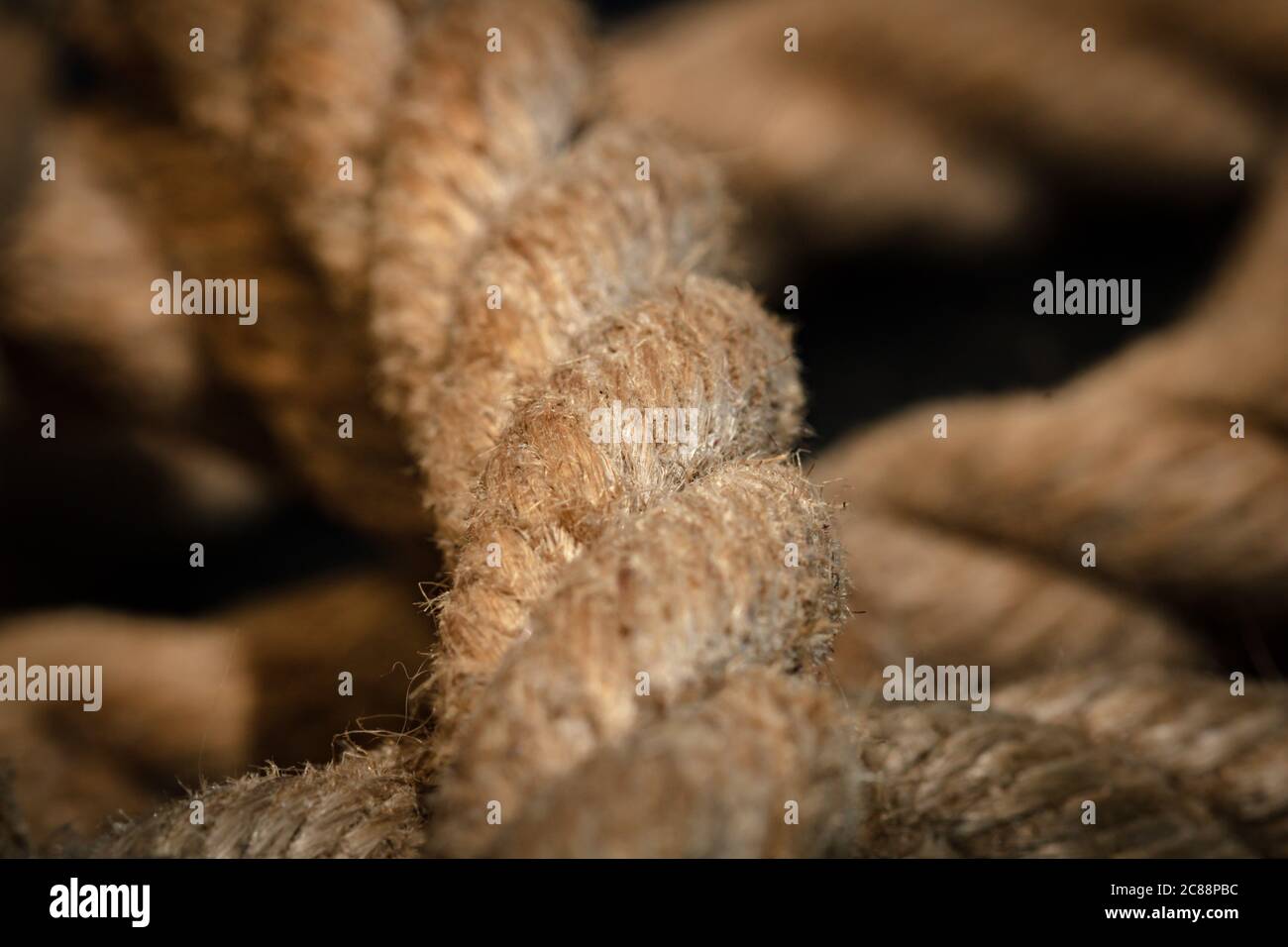 Abstract Composition, Texture Of Thick And Strong Hanging Rope Isolated On  Blurred Background, Stock Photo, Picture and Royalty Free Image. Image  146966231.