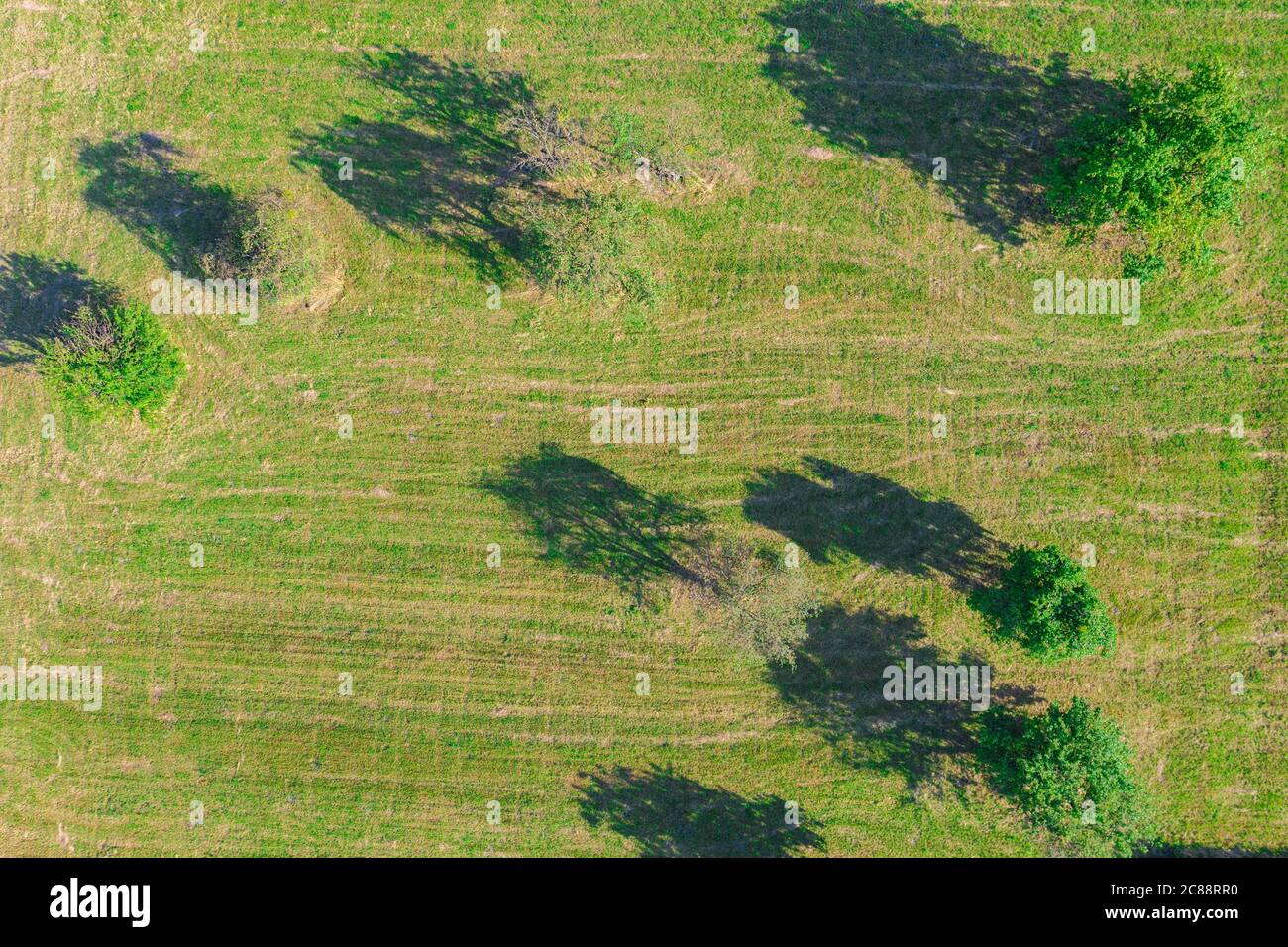 Aerial view of agricultural fields in Europe, Poland. Beautiful ...