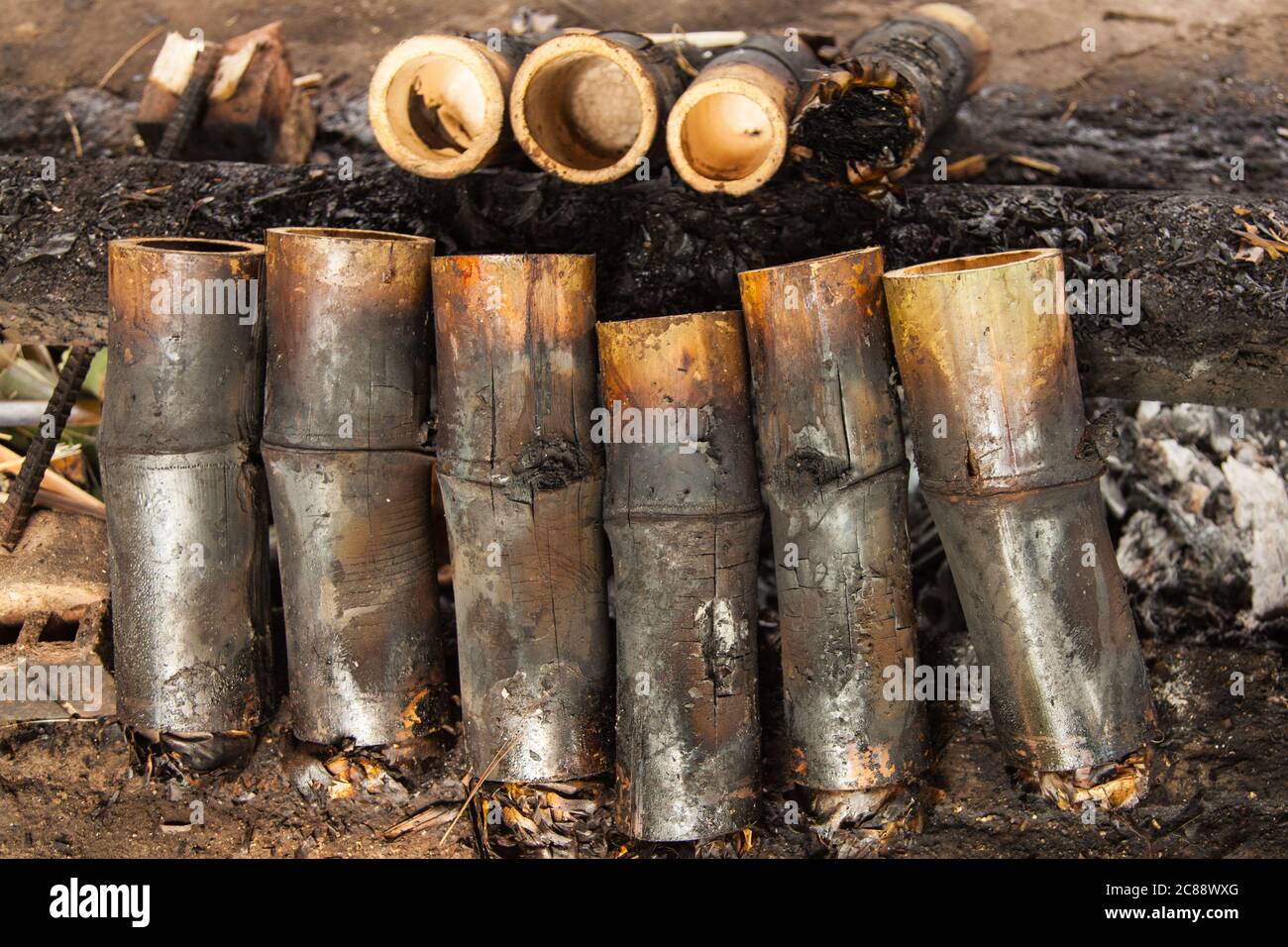 Traditional sticky rice cooked in bamboo as street food as found in ...