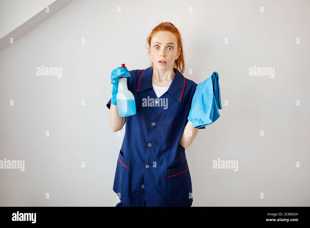 wiping floors, dusting, scrubbing the bathtub at least twice a week