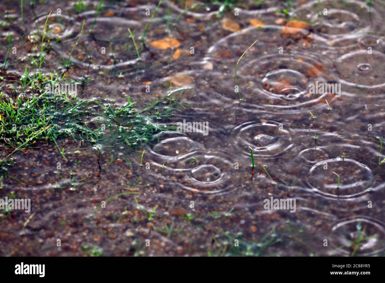 Rain falling on ground Stock Photo Alamy