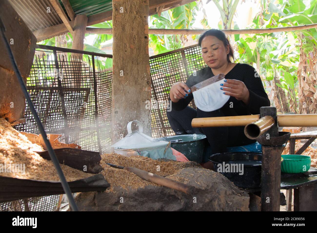 Home made traditional rice paper for spring rolls made by families in ...