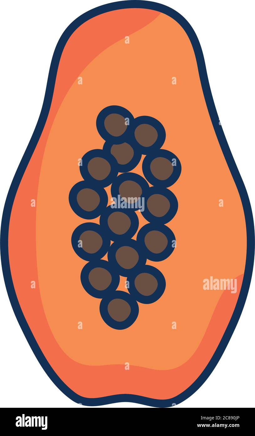 pawpaw fruit icon over white background, line fill style, vector ...