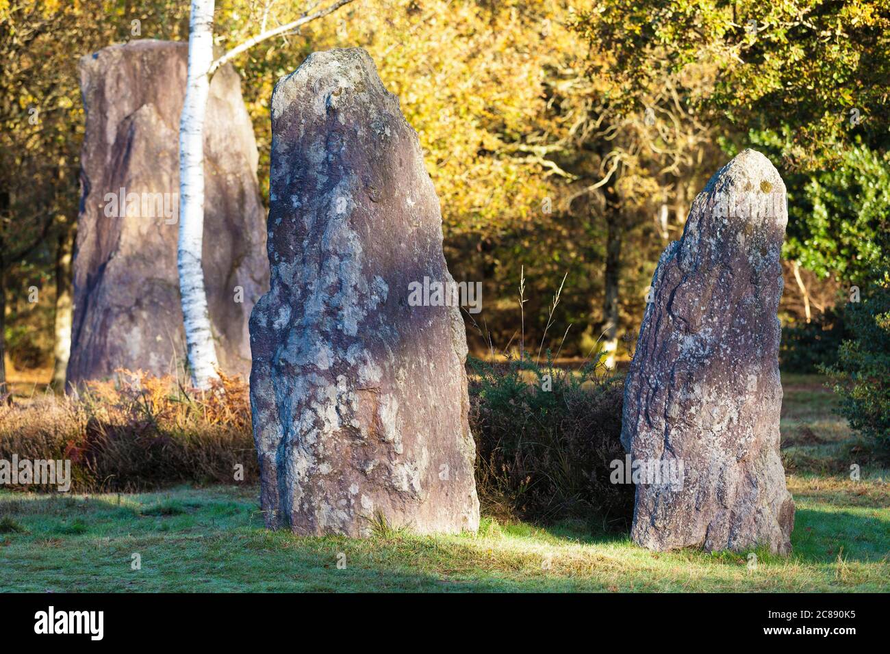 Dolmen von Monteneuf nahe des Waldes Broceliande, Bretagne Stock Photo