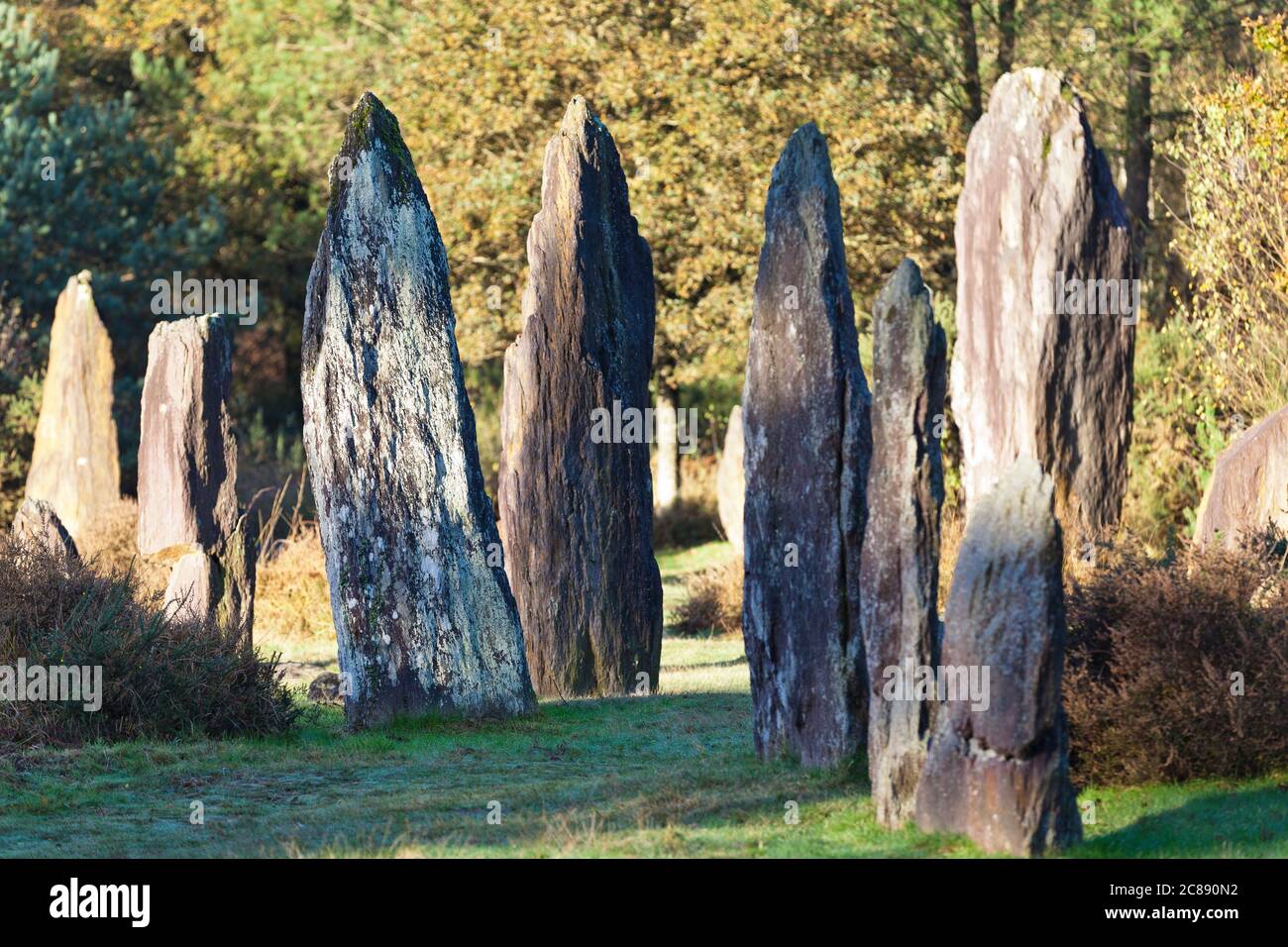 Dolmen von Monteneuf nahe des Waldes Broceliande, Bretagne Stock Photo