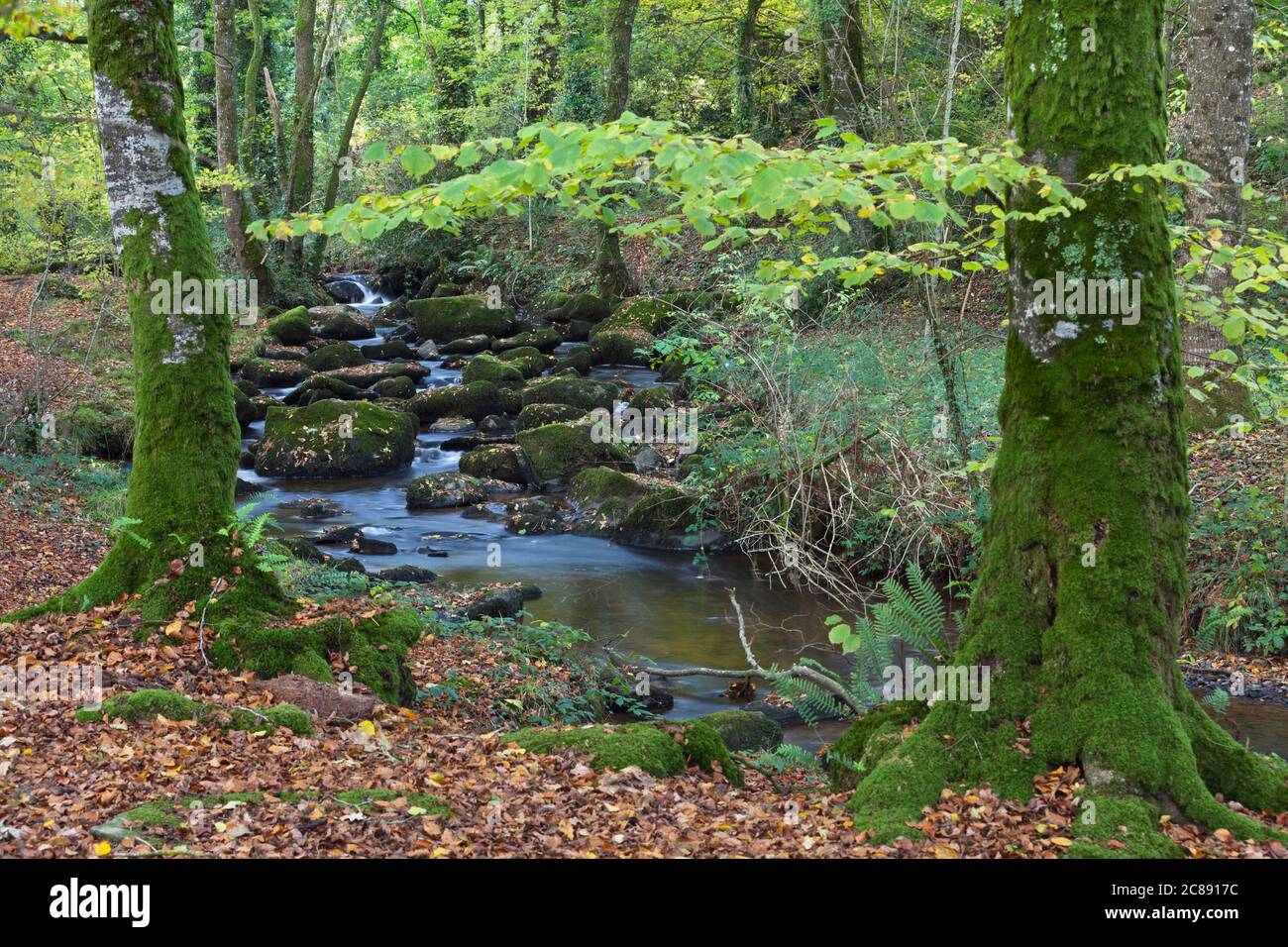 Chaos de la Rance, Lanrelas, Brittany in autumn Stock Photo - Alamy