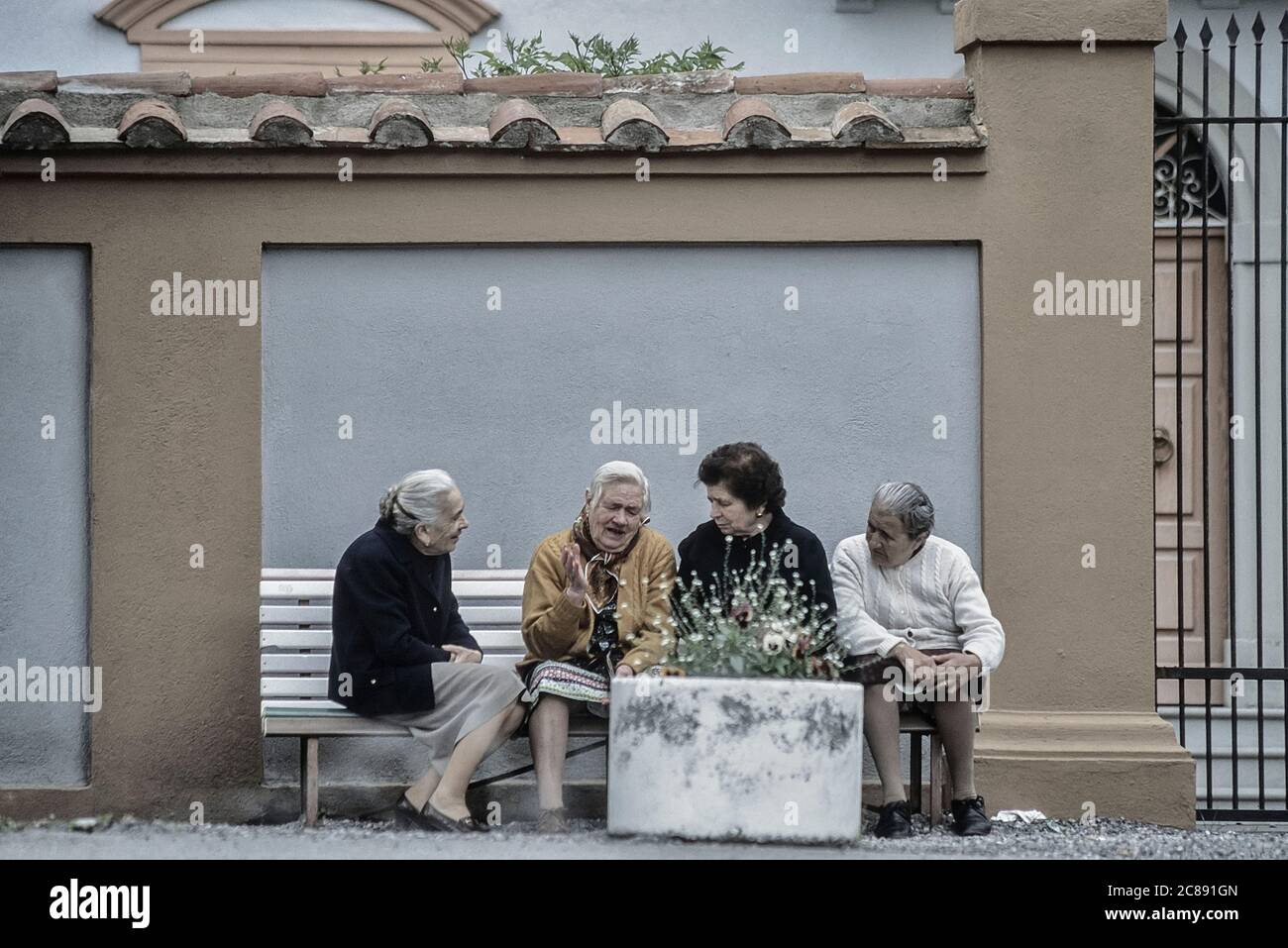 Four elderly Italian ladies sitting on a public bench having a discussion. Italy Stock Photo