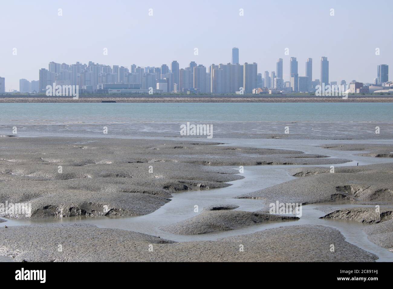 Sea bed mud flat at low tide, with distant urban skyline, Oido, Korea Stock Photo