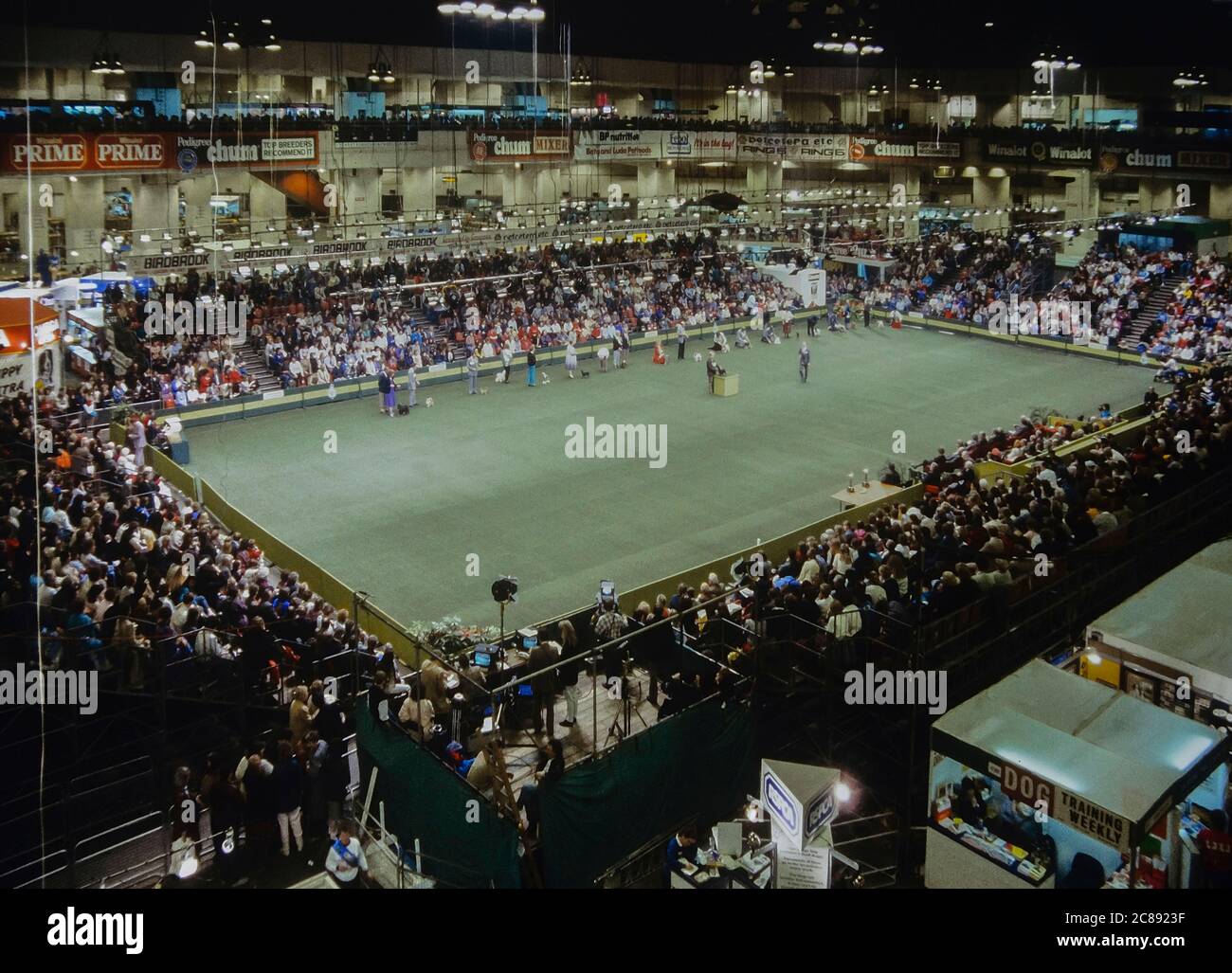 Crufts dog show, Earls Court, London, England. 1989 Stock Photo