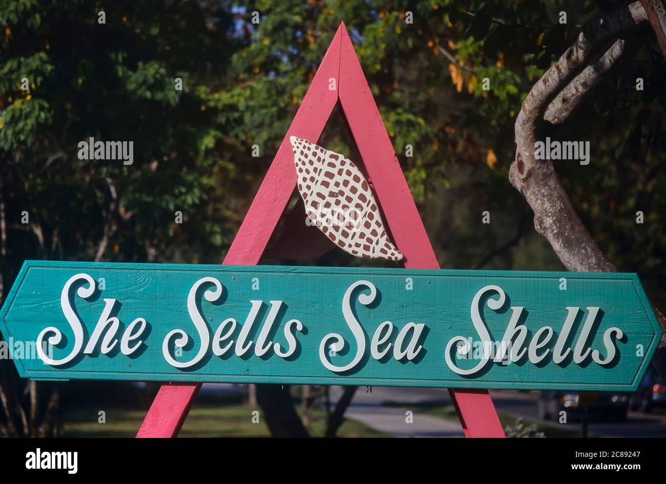 She Sells Sea Shells