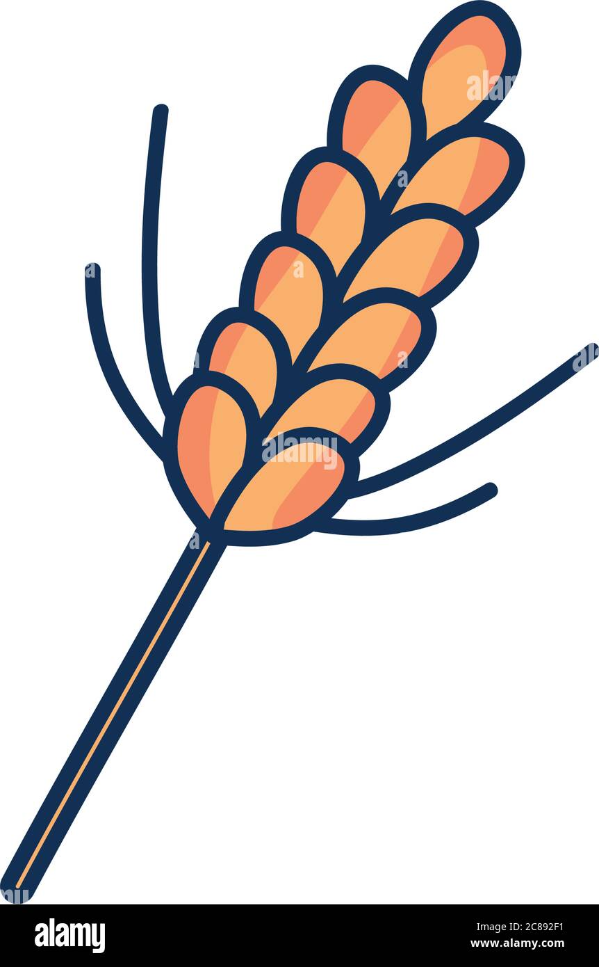 wheat ear icon over white background, line fill style, vector ...