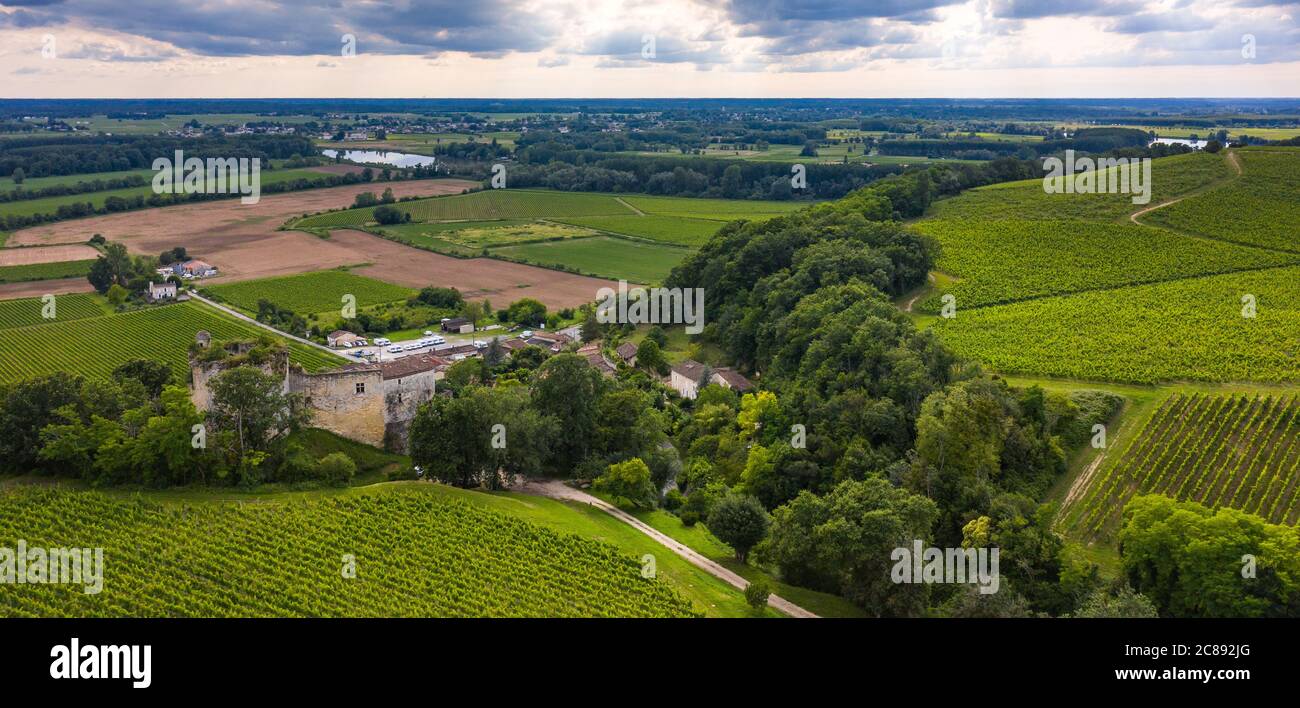 Aerial view, Sunset landscape, Bordeaux wineyard, Langoiran, Gironde, France Stock Photo