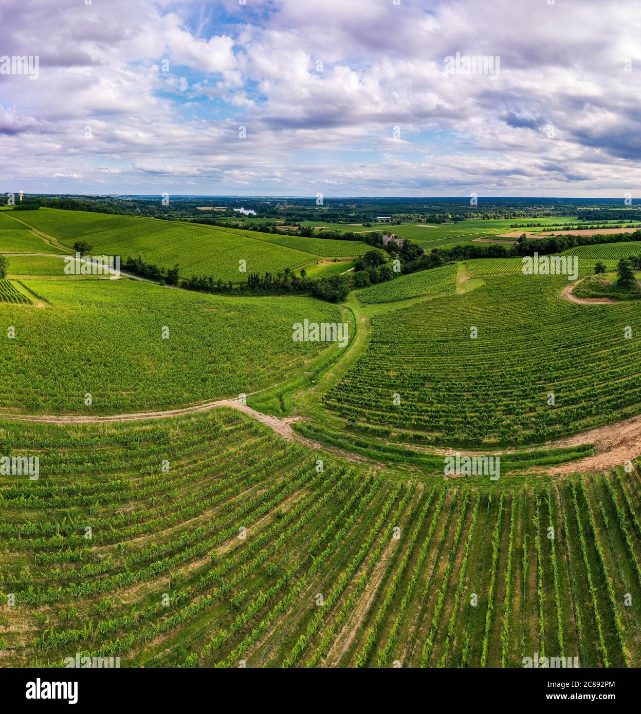 Aerial view, Sunset landscape, Bordeaux wineyard, Langoiran, Gironde, France Stock Photo