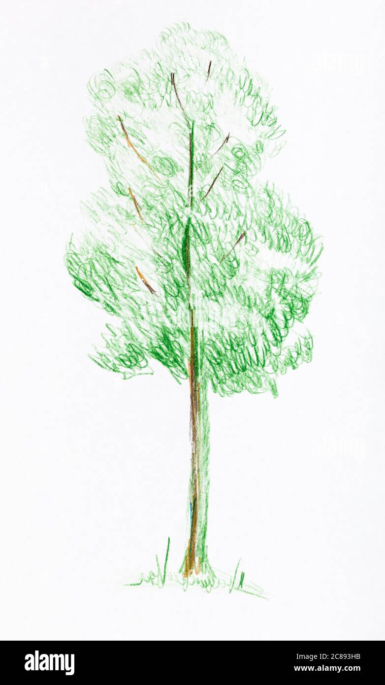 Modern Leaf Sketch White & Green Premium Quality Wallpaper – WallMantra