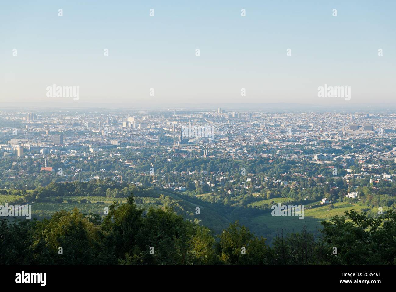 Scenic view over the City of Vienna and the vine yards of suburban fringe area from Kahlenberg in the morning. Stock Photo