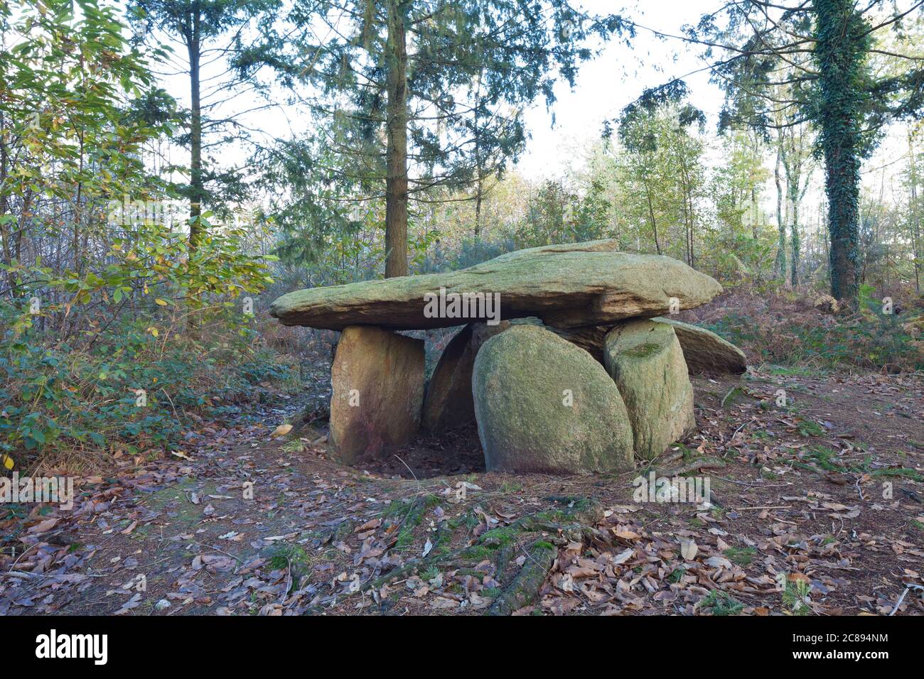 Megalithic Stone Grave - Dolmen in Morbihan Brittany France Stock Photo
