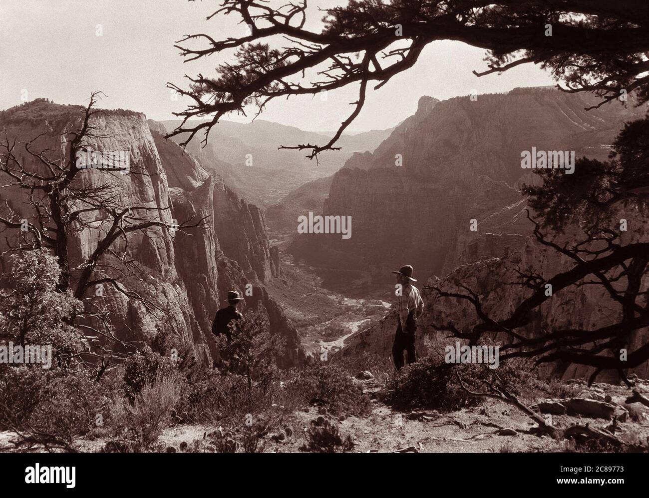 View through trees down Zion Canyon from east side of Observation Point, Zion National Park, September 12, 1929. Great White Throne is at left. Stock Photo