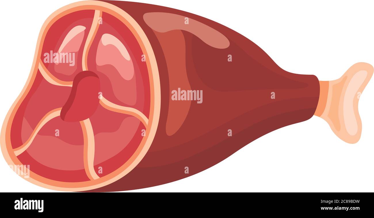 leg meat detailed style icon vector illustration design Stock Vector ...