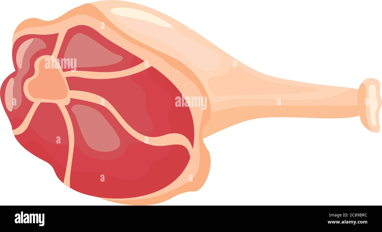 leg meat detailed style icon vector illustration design Stock Vector ...