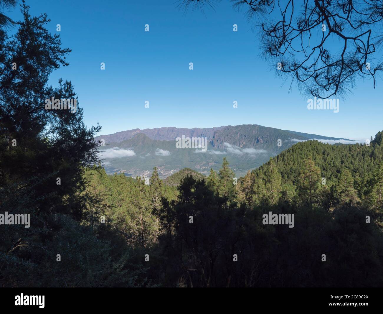 Volcanic landscape with lush green pine trees, colorful volcanoes and ...
