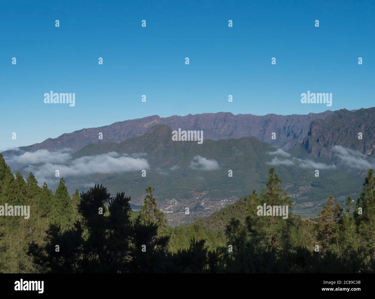Volcanic landscape with lush green pine trees, colorful volcanoes and ...