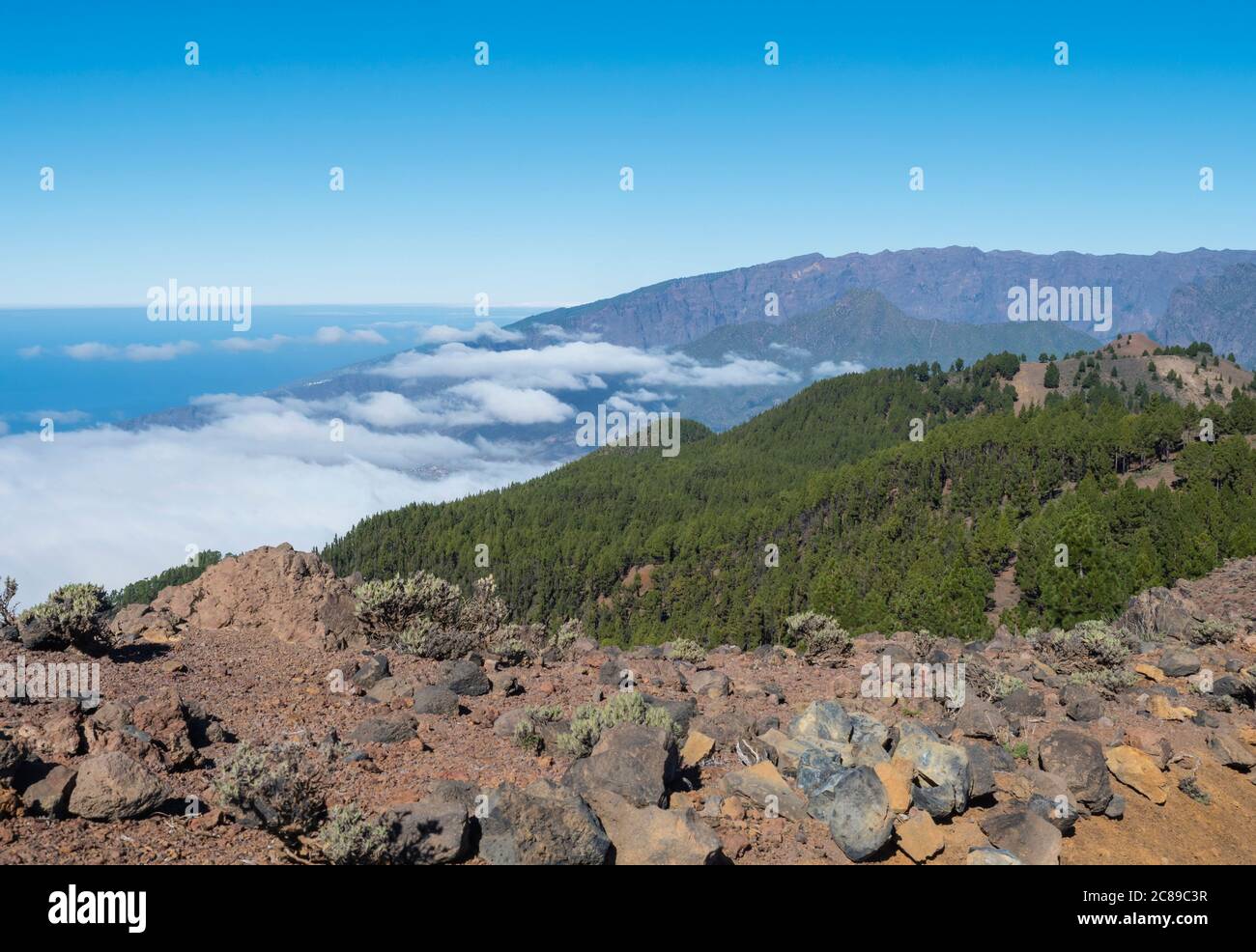 Volcanic landscape with lush green pine trees, colorful volcanoes and ...