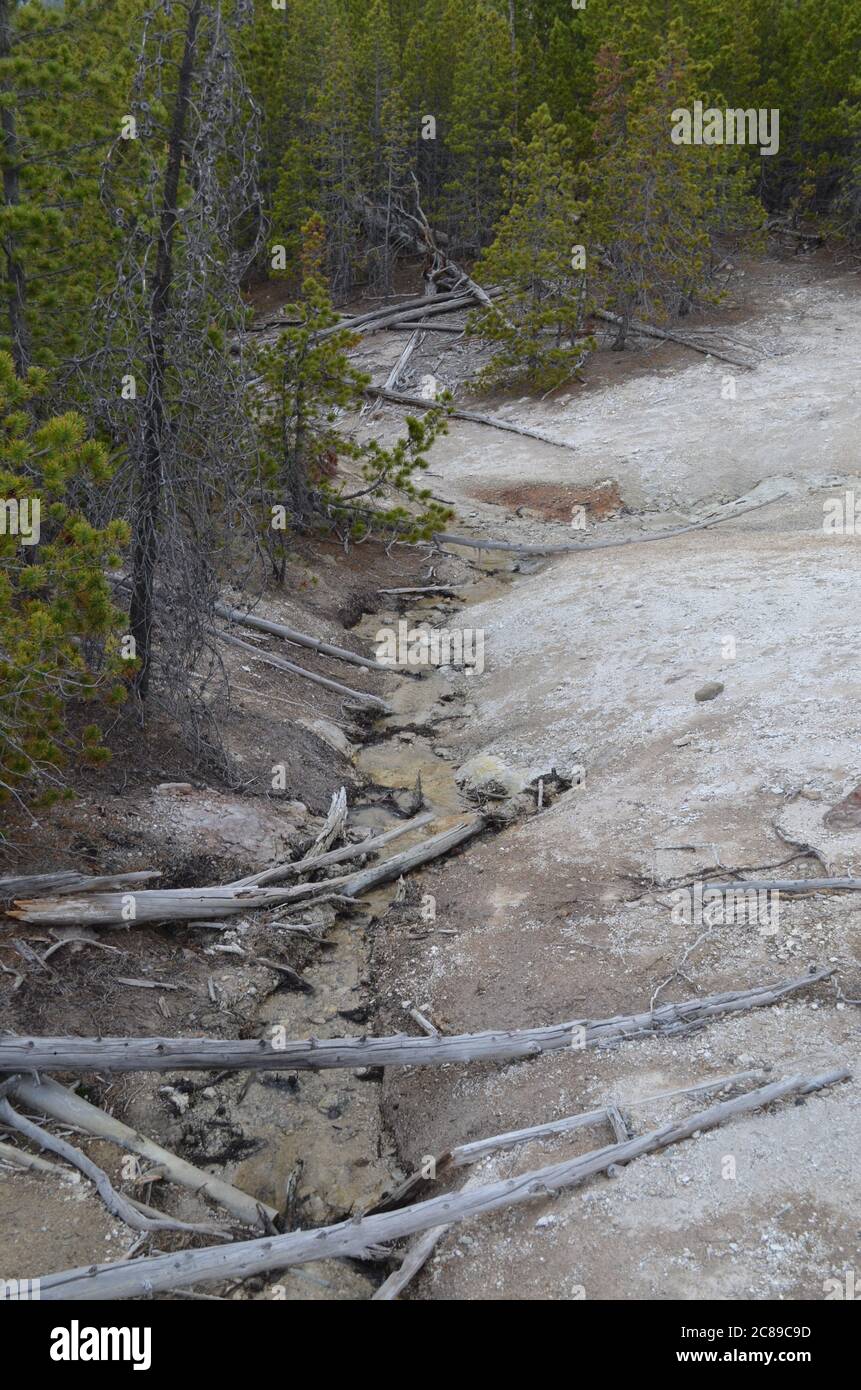 Late Spring in Yellowstone National Park: Drainage Down the Hill From Dr. Allen's Paint Pots in the Back Basin Area of Norris Geyser Basin Stock Photo