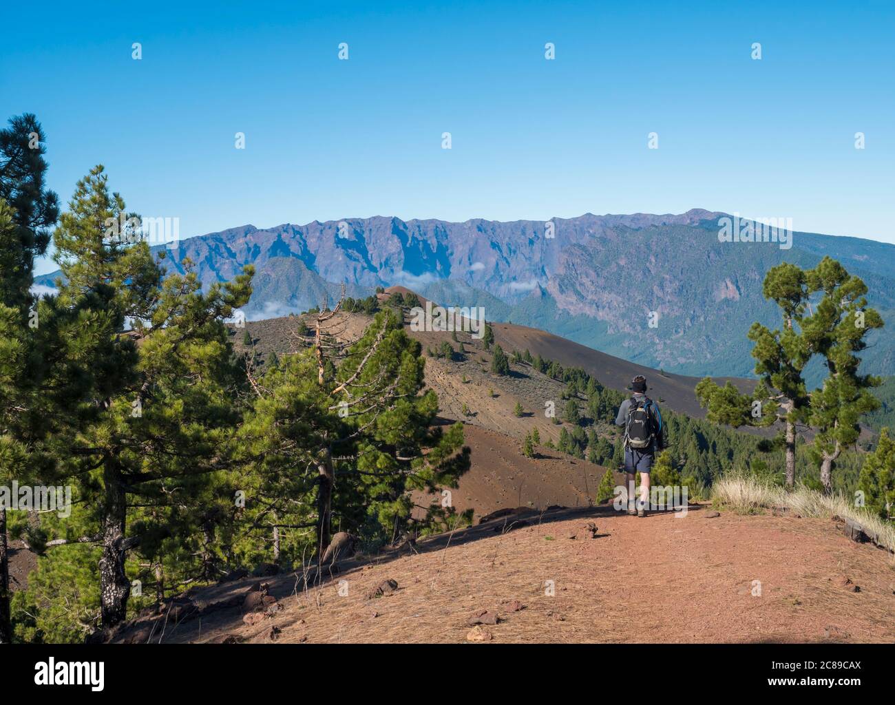 Volcanic landscape with lush green pine trees, colorful volcanoes and ...