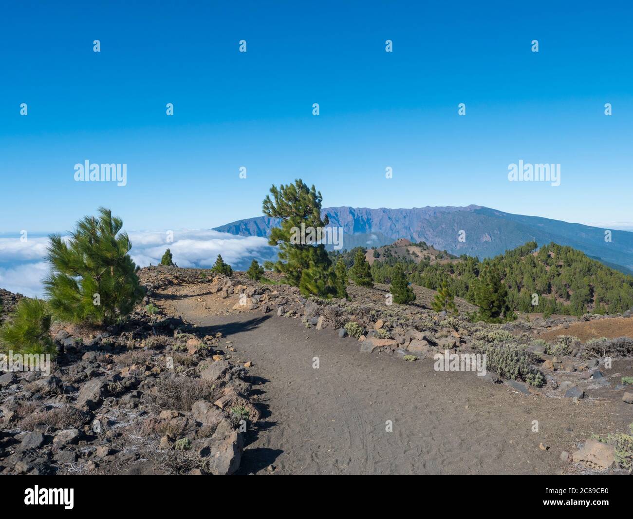 Volcanic landscape with lush green pine trees, colorful volcanoes and ...